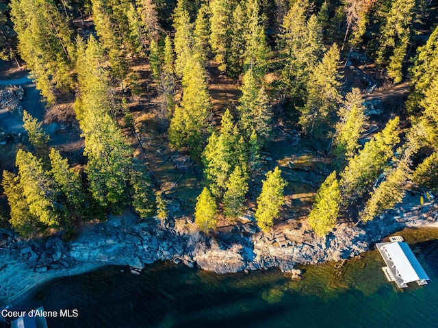 L11 W Mica Shore Rd, Coeur Dalene, ID 83814 - photo 10