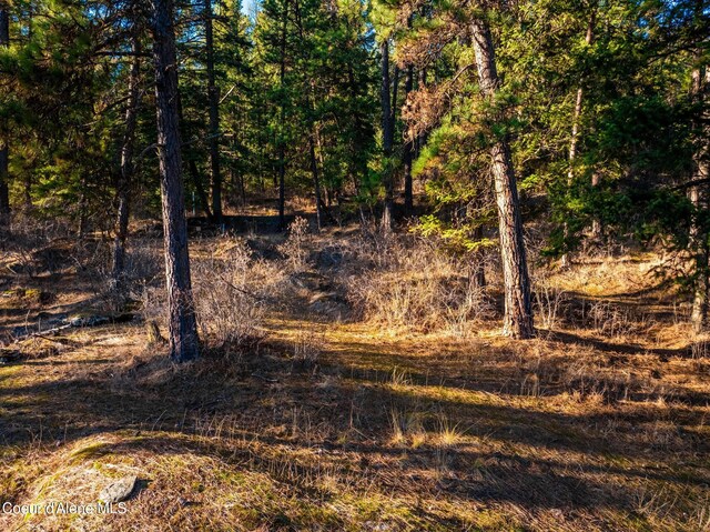 L11 W Mica Shore Rd, Coeur Dalene, ID 83814 - photo 20