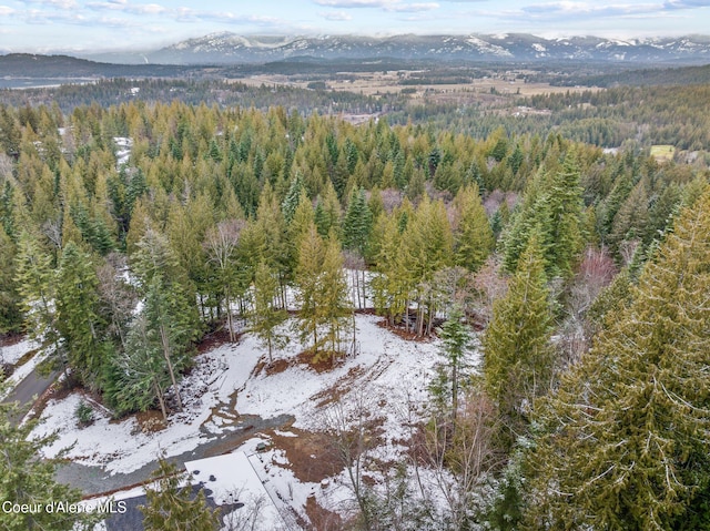 aerial view with a mountain view