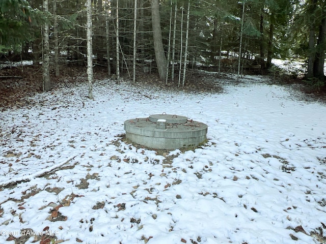 view of yard covered in snow