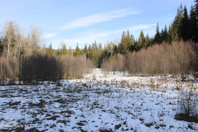 view of snow covered land