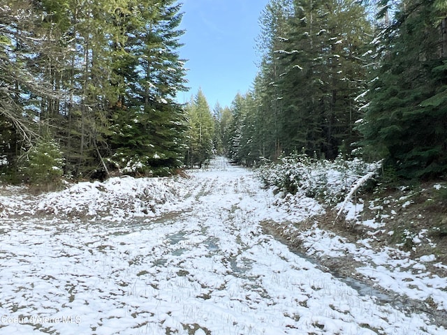 view of snowy view