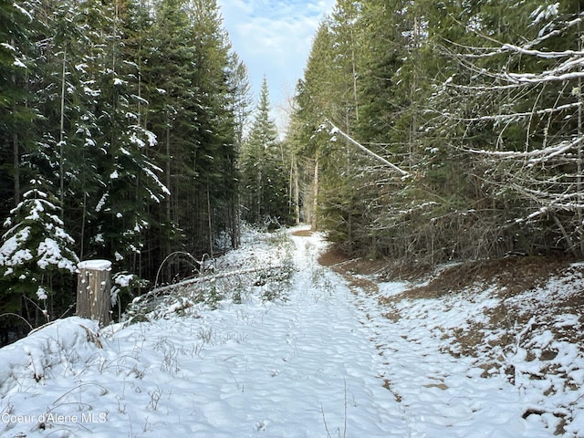 view of snowy view