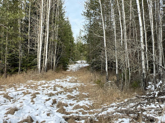 view of snowy view