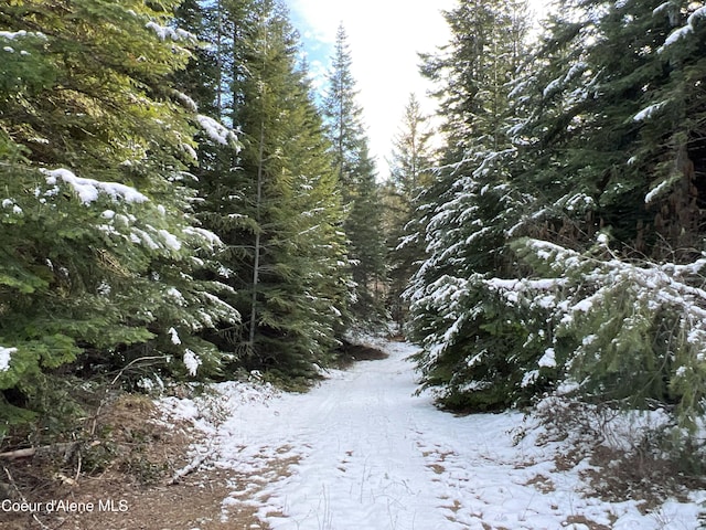 view of snowy landscape