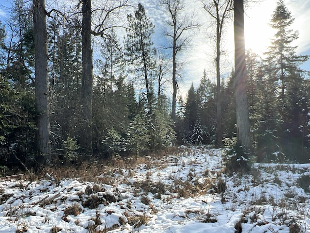 view of snowy view