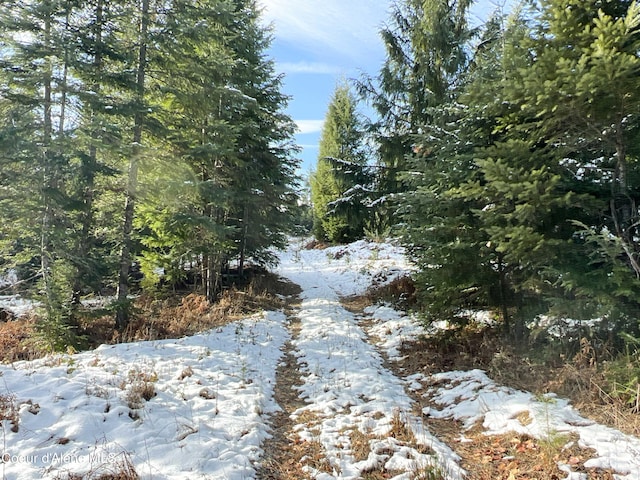 view of snow covered land