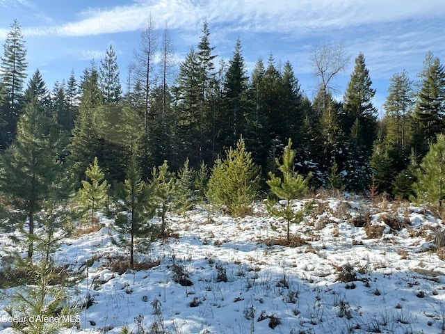 view of snowy view