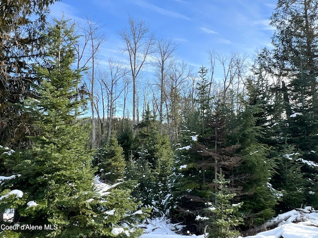 view of snowy landscape