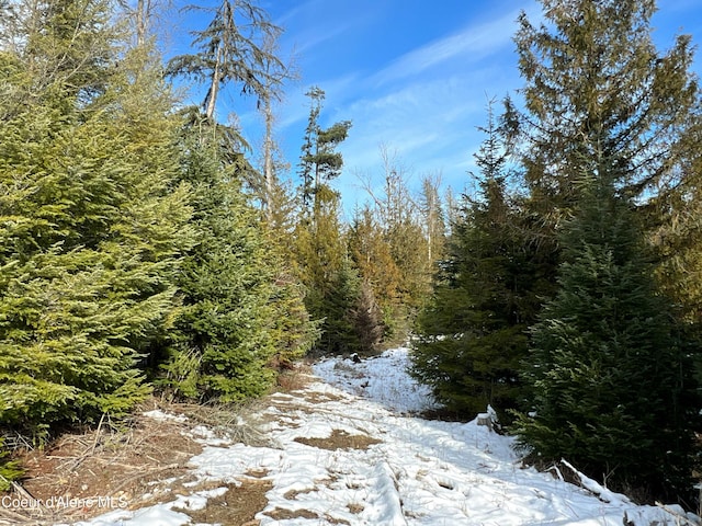 view of snowy view