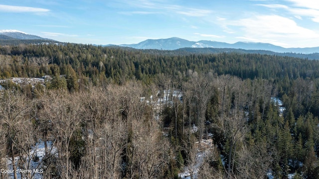 view of mountain feature