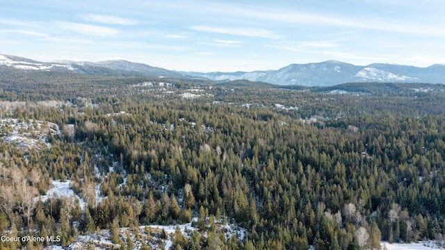 view of mountain feature