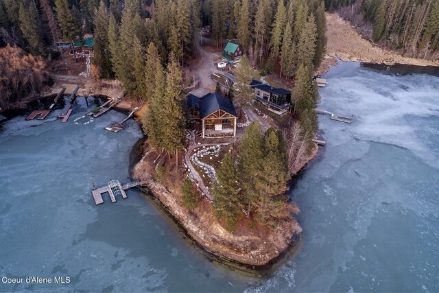 bird's eye view featuring a water view