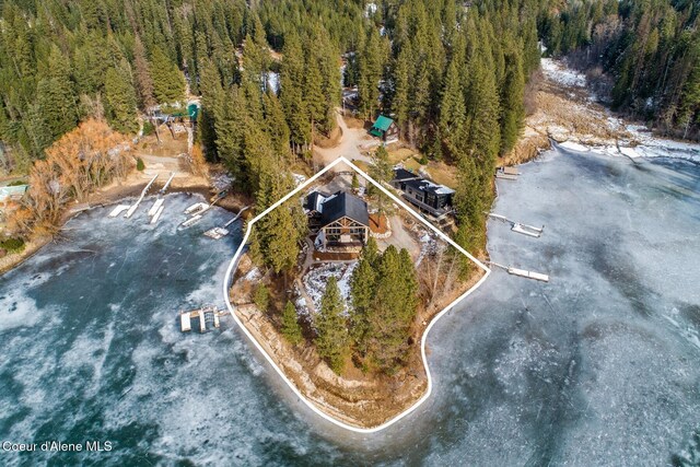 bird's eye view with a wooded view