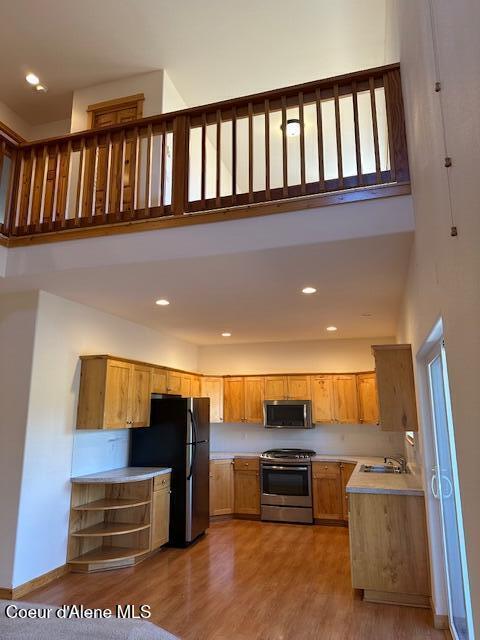 kitchen with sink, hardwood / wood-style floors, a towering ceiling, and appliances with stainless steel finishes