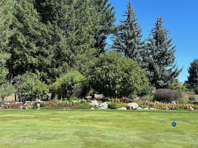 view of community featuring a yard