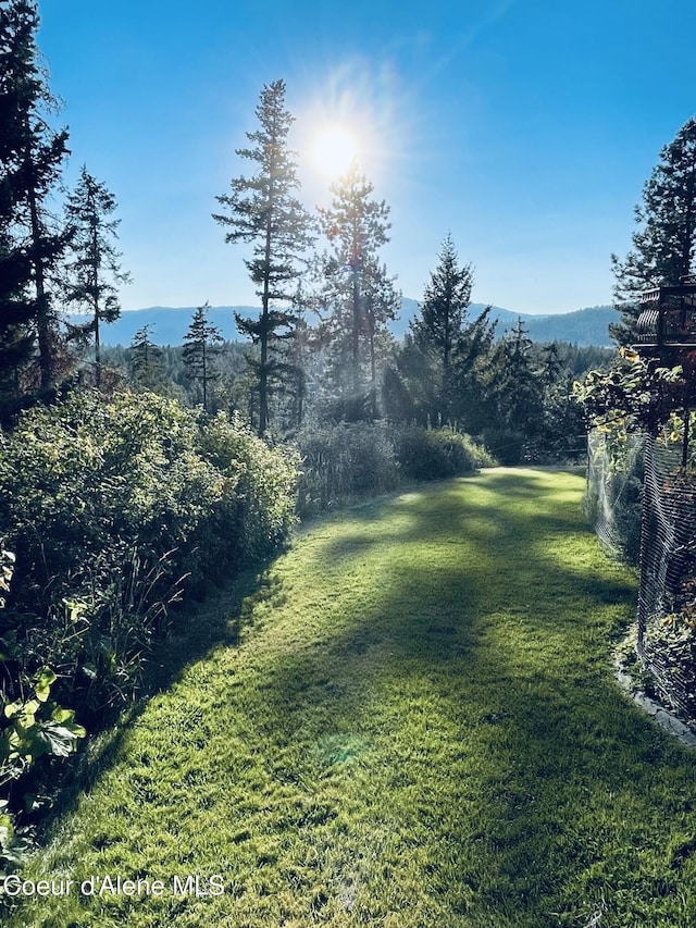 view of yard featuring a mountain view