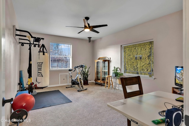 workout area featuring ceiling fan and carpet