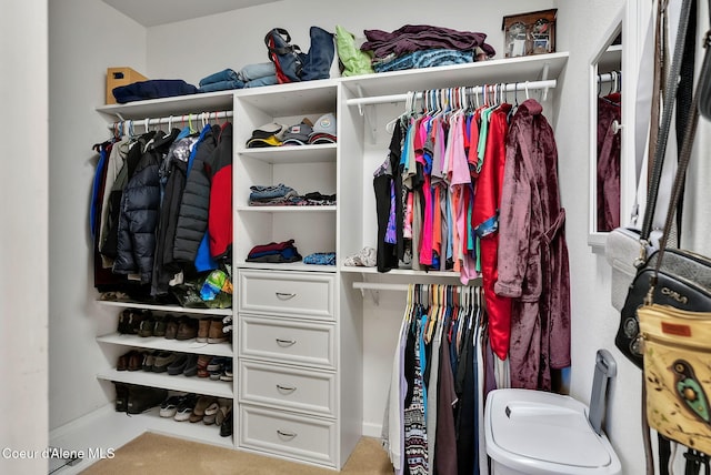 view of spacious closet