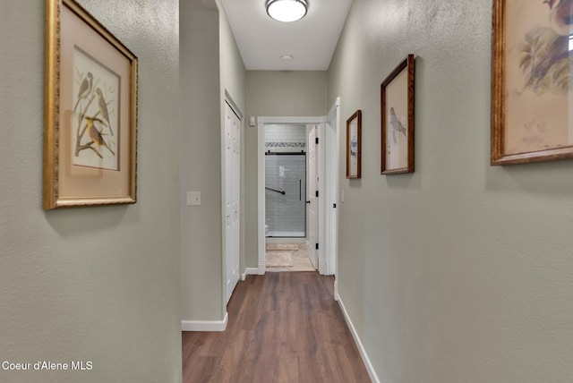 hallway featuring dark hardwood / wood-style floors