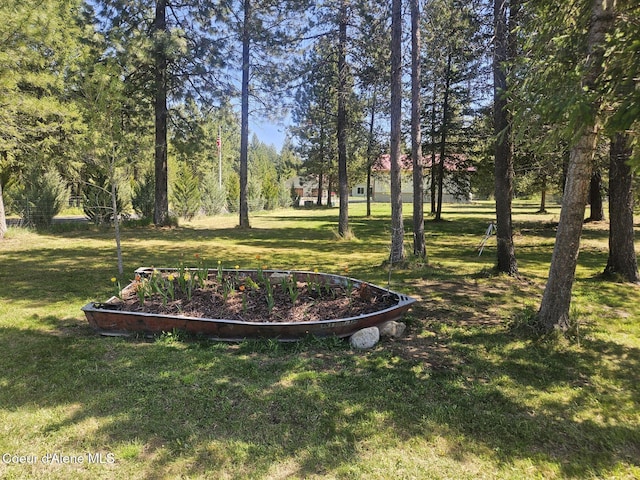 view of yard featuring a garden