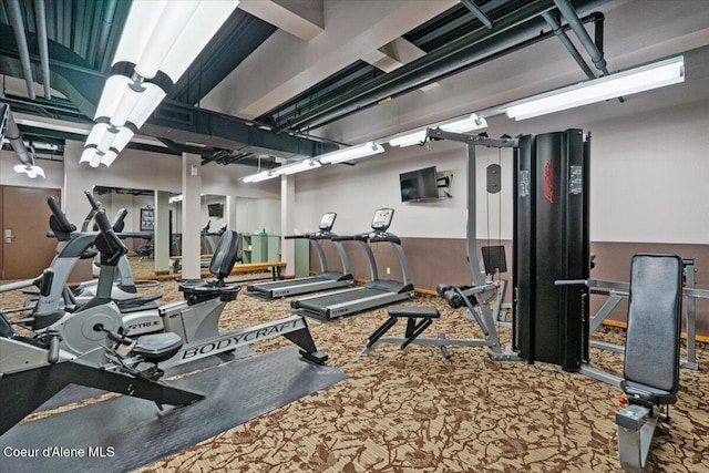 exercise room featuring carpet floors