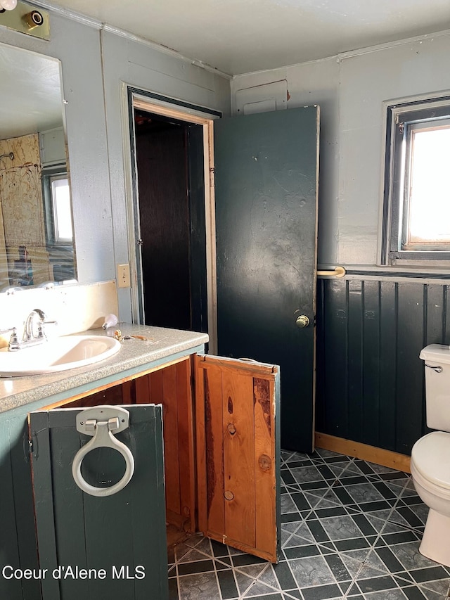 bathroom featuring vanity, wooden walls, and toilet