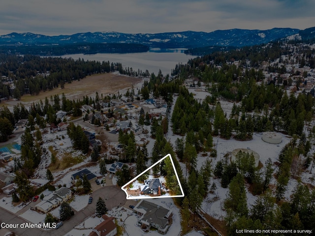 drone / aerial view featuring a mountain view