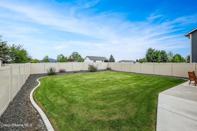 view of yard with a patio area