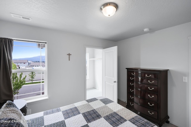 bedroom with multiple windows, a mountain view, and a textured ceiling