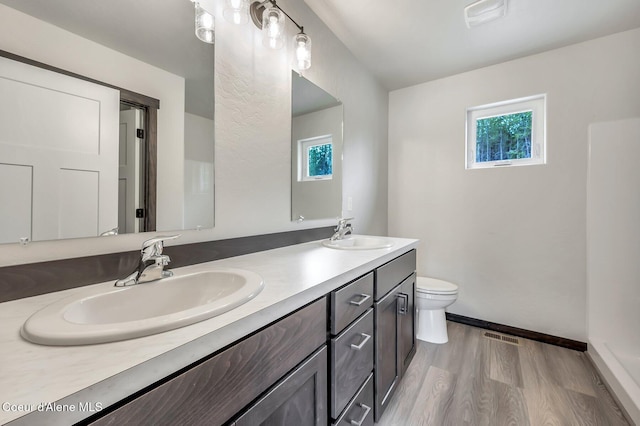211 Rain Dr, Athol, ID 83801 - bathroom featuring a sink, wood finished floors, and a wealth of natural light