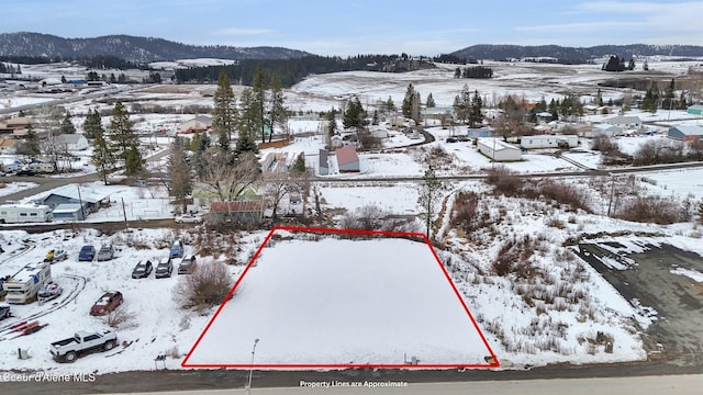 LT10 C St, Plummer ID, 83851 land for sale