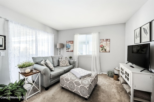 view of carpeted living room