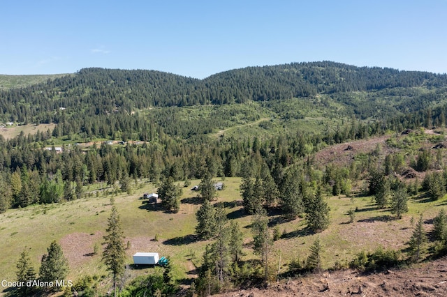 NNA Windfall Pass Rd, Plummer ID, 83851 land for sale