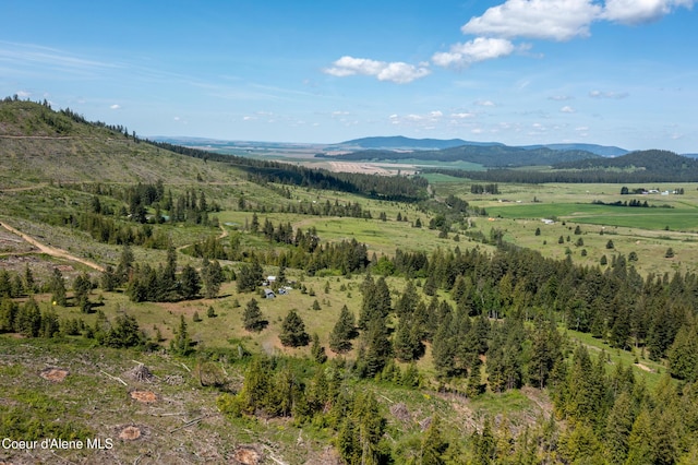 NNA Windfall Pass Rd, Plummer, ID 83851