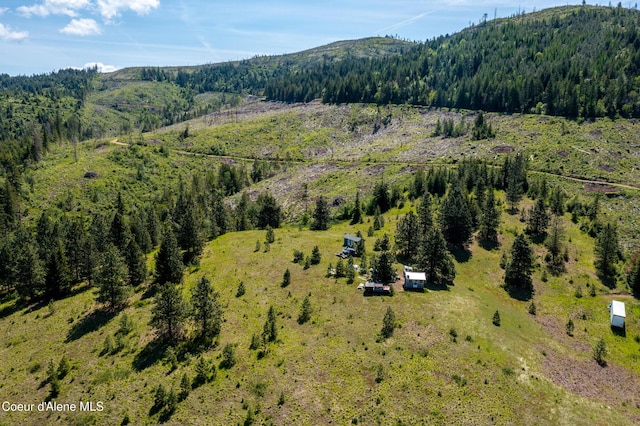 NNA Windfall Pass Rd, Plummer, ID 83851