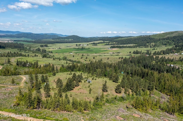 NNA Windfall Pass Rd, Plummer, ID 83851
