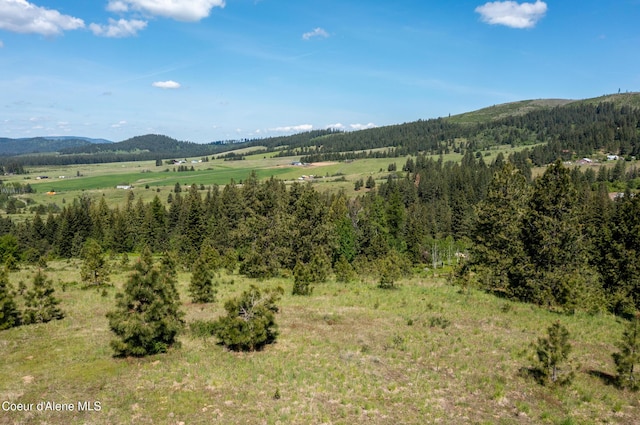 NNA Windfall Pass Rd, Plummer, ID 83851