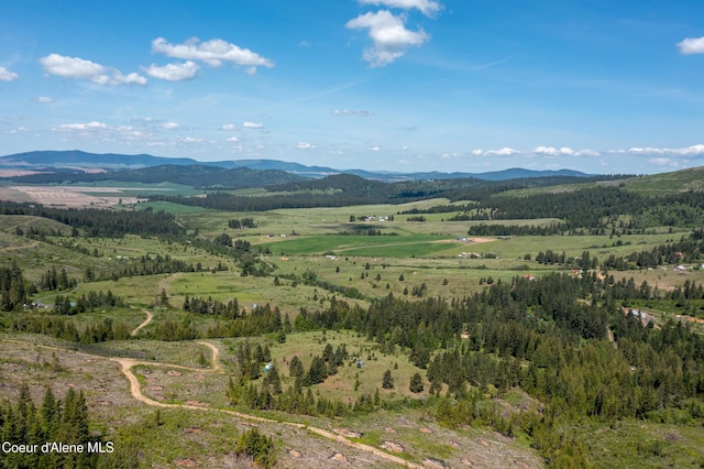 NNA Windfall Pass Rd, Plummer, ID 83851