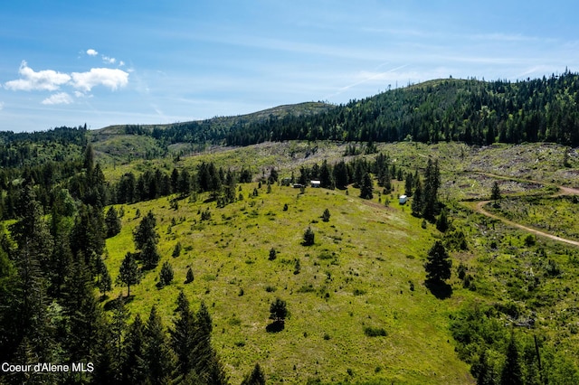 NNA Windfall Pass Rd, Plummer, ID 83851