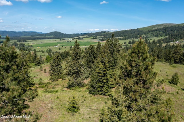NNA Windfall Pass Rd, Plummer, ID 83851