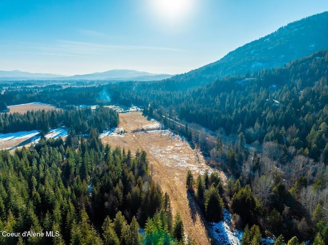 NNA Schweitzer Mtn Rd, Sandpoint, ID 83864
