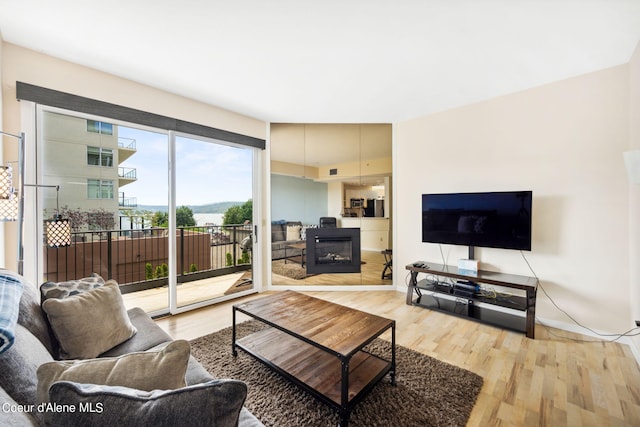 living room with light hardwood / wood-style flooring