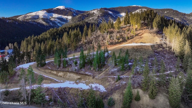 484 Ahrs Loop, Saint Maries ID, 83861 land for sale