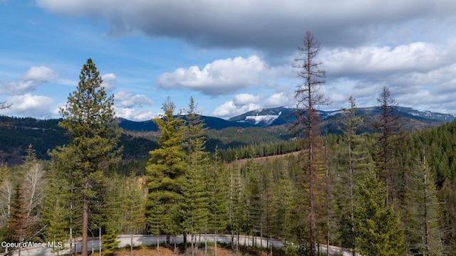 property view of mountains with a wooded view