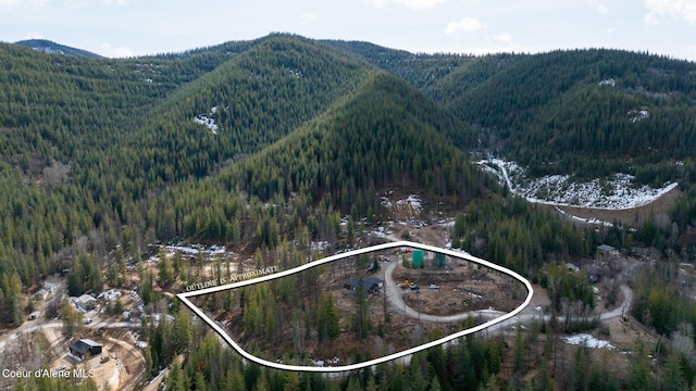 birds eye view of property featuring a mountain view and a forest view