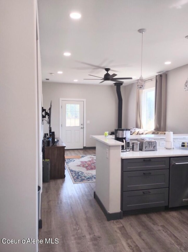 kitchen featuring stainless steel dishwasher, plenty of natural light, dark hardwood / wood-style floors, and gray cabinetry