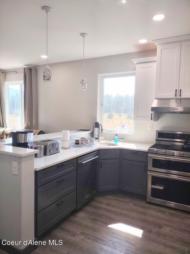 kitchen with sink, hanging light fixtures, dark hardwood / wood-style floors, stainless steel appliances, and white cabinets