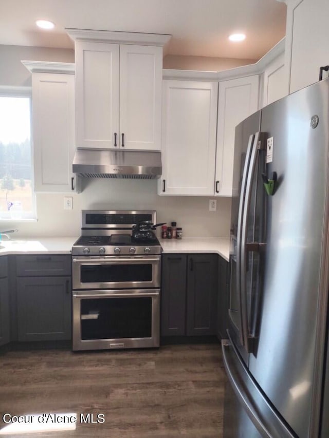 kitchen featuring white cabinetry, dark wood-type flooring, and stainless steel appliances