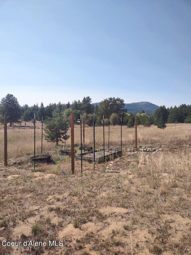 view of yard featuring a rural view